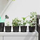 Rund Blomsterpotte 50 pcs Sort Ø 10 x 8 cm Plastik