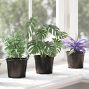 Rund Blomsterpotte 100 pcs Sort Ø 10 x 8 cm Plastik