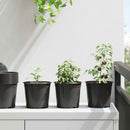 Blomsterpotte 50 pcs Sort Ø 15 x 13 cm Plastik
