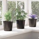 Blomsterpotte 100 pcs Sort Ø 15 x 13 cm Plastik
