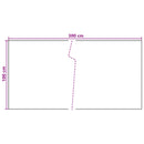 Altan Skærm Mørkegrå 300 x 100 cm polyrattan