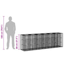 Gabion højbed 2 pcs Sølv 250 x 50 x 80 cm Galvaniseret stål