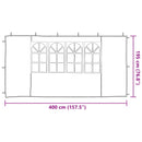 Festasidevæg 2 pcs 400 x 195 cm Grøn PE og stål
