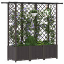 Hævet Bed med Trellis og Tag Brun 163,5 x 40 x 136 cm PP