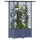 Hævet Bed med Trellis og Tag Grå 124 x 40 x 136 cm PP