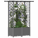 Hævet Bed med Trellis og Tag Lysegrå 124 x 40 x 136 cm PP