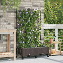 Havekrukke med vanding og hjul 2 stk. Brun 80 x 40 x 132 cm PP
