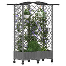 Hævet Bed med Trellis og Tag Lysegrå 124 x 40 x 129 cm PP