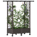 Hævet Bed med Trellis og Tag Brun 122,5 x 40 x 127 cm PP