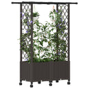 Hævet Bed med Trellis og Tag Brun 124,5 x 40 x 142 cm PP