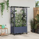Hævet Bed med Trellis og Tag Grå 124,5 x 40 x 142 cm PP