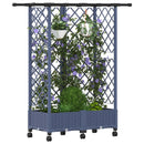 Hævet Bed med Trellis og Tag Grå 124 x 40 x 127 cm PP