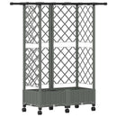 Hævet Bed med Trellis og Tag Lysegrå 124 x 40 x 127 cm PP