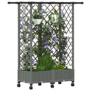 Hævet Bed med Trellis og Tag Lysegrå 124 x 40 x 127 cm PP