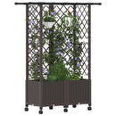 Hævet Bed med Trellis og Tag Brun 124 x 40 x 142 cm PP