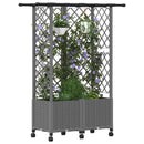 Hævet Bed med Trellis og Tag Lysegrå 124 x 40 x 142 cm PP