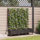 Haveplantekasse med espalier og hjul 3 stk. Brun PP