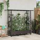 Hævet Bed med Trellis og Tag Brun 164 x 40 x 127 cm PP