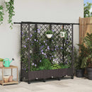 Hævet Bed med Trellis og Tag Brun 164 x 40 x 127 cm PP