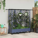 Hævet Bed med Trellis og Tag Grå 164 x 40 x 127 cm PP