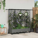 Hævet Bed med Trellis og Tag Lysegrå 164 x 40 x 127 cm PP