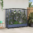 Hævet Bed med Trellis og Tag Grå 203,5 x 40 x 129 cm PP