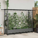 Hævet Bed med Trellis og Tag Lysegrå 203 x 40 x 127 cm PP