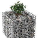 Gabion højbed Sølv