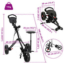 Golf Trolley med sæde Sort 95 x 69 x 114 cm Jern