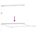 Utrækkelig Markise Gråbrun 3,5 x 2 m Stof