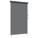 Rullegardin Lysegrå 120 x 250 cm Stof og Aluminium