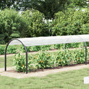 Planteovertræk Transparent 1 x 12 m PE