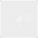 Planteovertræk Transparent 2 x 2 m PVC