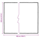 Presenning Transparent 5 × 3,5 m PE