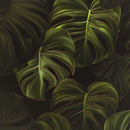 TV-skab ELBURG 102 x 33 x 50 cm Sonoma-eg Konstrueret træ