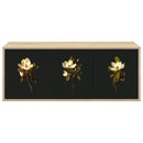 Væghængt TV Skab BREMEN 102 x 33 x 40 cm Sonoma-eg