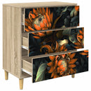 Skuffeskab LOCHEM Orange print 66 x 36,5 x 75 cm Sonoma-eg