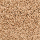 Selvklæbende Trappemåtter 15 stk. 80 x 24,5 x 3,5 cm Beige