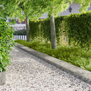 Plænekant 10 stk. 103 x 30 cm Stål Sølv