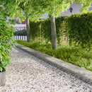 Plænekant 20 stk. 103 x 30 cm Stål Sølv