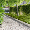 Plænekant 30 stk. 100 x 25 cm Stål Sølv