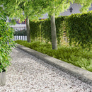 Plænekant 20 stk. 100 x 30 cm Stål Sølv