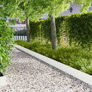 Plænekant 10 pcs 102 x 15 x 4 cm Stål Hvid
