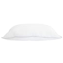 Hovedpude 2 stk. 30 x 50 cm Bambusfiber Hvid