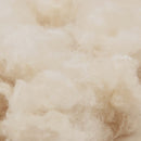 Dynebetræk Sæt 2 stk. 260 x 240 cm 250 gsm Naturlig Kapok Beige