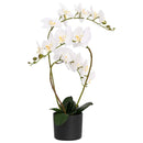 Kunstig orkideplante med potte Hvid 45 x 15 x 65 cm