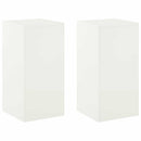 Planteholder 2 pcs Hvid 30 x 30 x 60 cm Stål