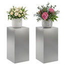 Planteholder 2 pcs Sølv 30 x 30 x 60 cm Rustfrit stål