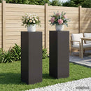 Planteholder 2 pcs Sort 30 x 30 x 100 cm Stål