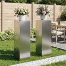 Planteholder 2 pcs Sølv 30 x 30 x 100 cm Rustfrit stål